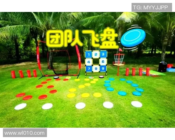 飞盘运动的魅力与挑战：深入了解深圳飞盘队的技术与战术解析